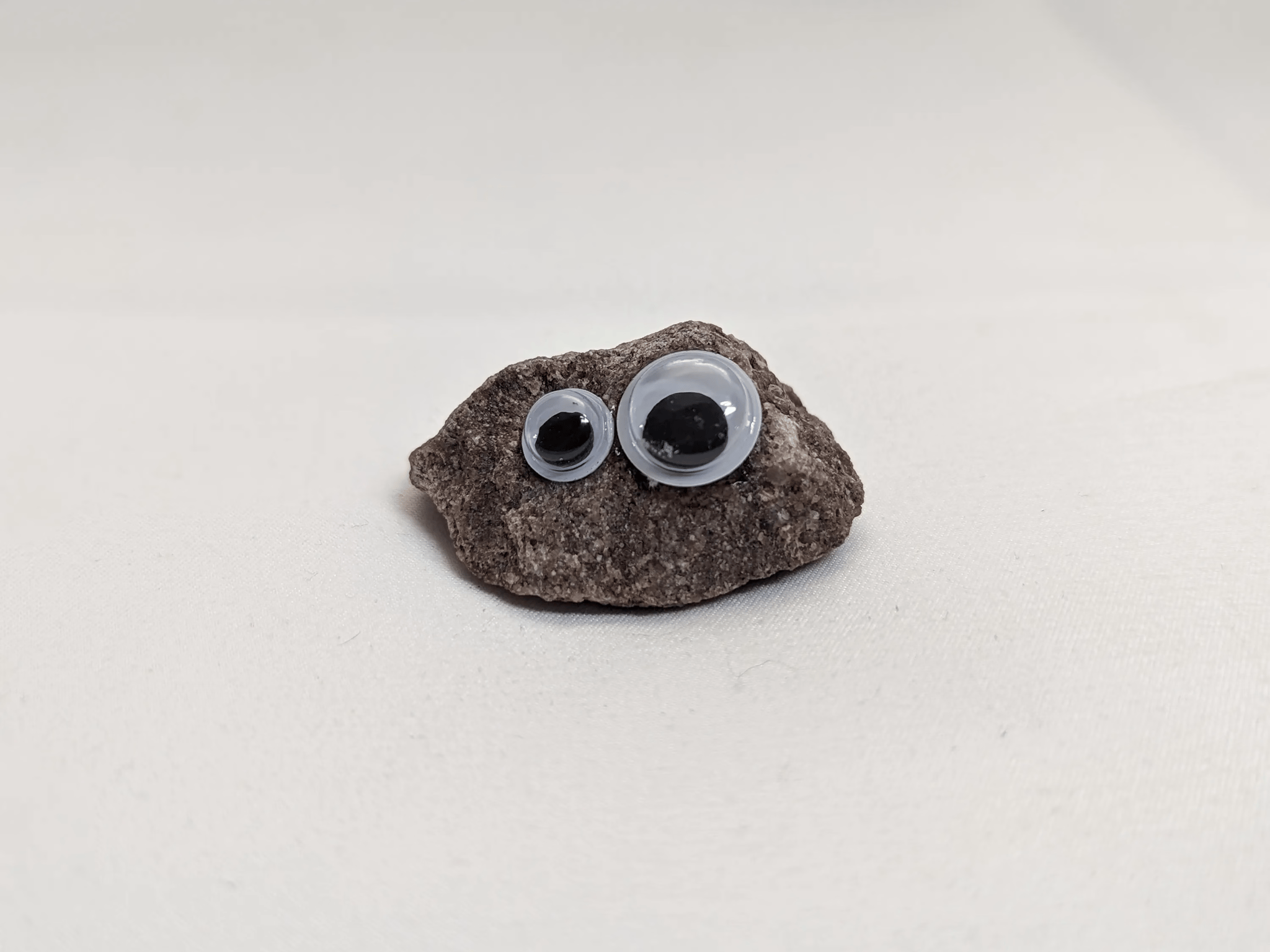 Bertrand the Pet Rock