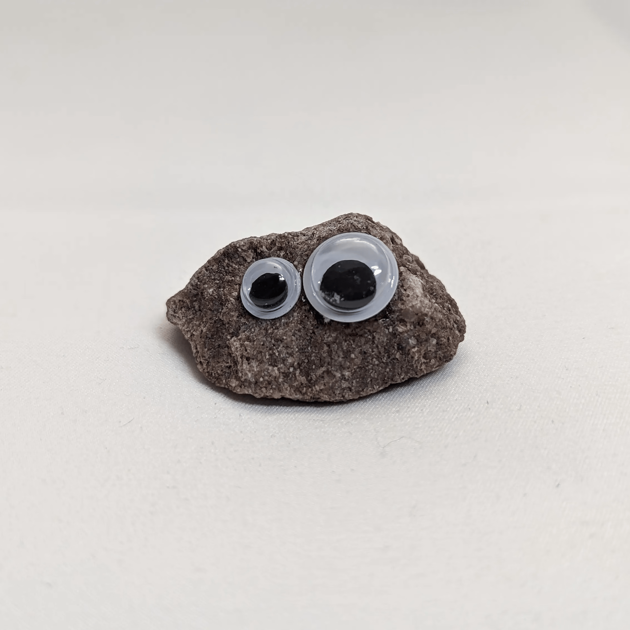 Bertrand the Pet Rock