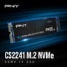 PNY 500gb CS2241 NVMe