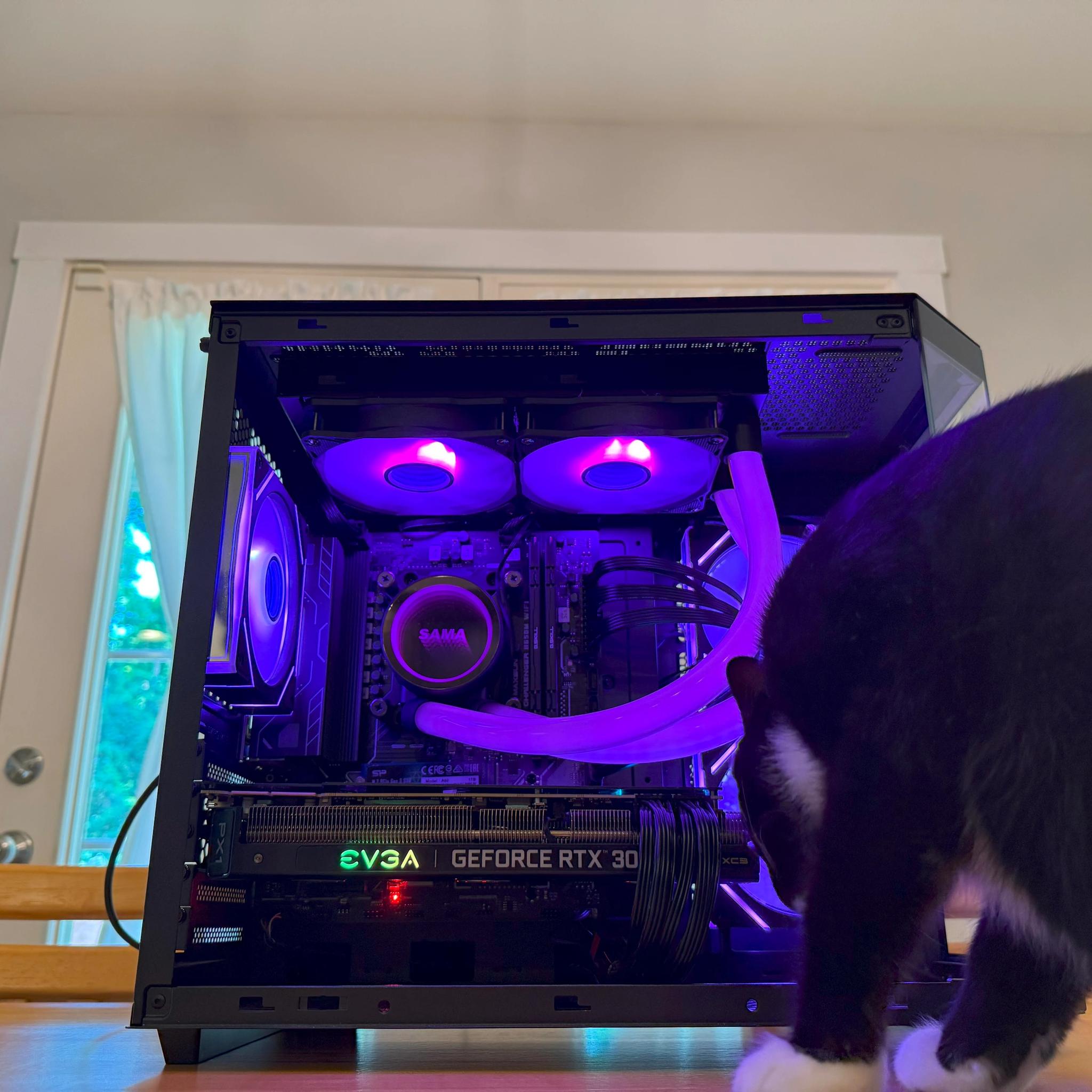 🐈‍⬛ 💨 RTX 3090 24gb, 32gb DDR5, AM5 Ryzen 8400f, Wifi Equipped, ARGB, AIO Cooled Gaming PC 🐈‍⬛ 💨