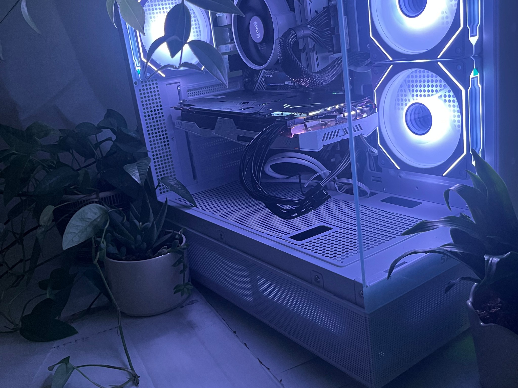 CUSTOM GAMING PC (Ryzen 5 5500 + NIVIDA GTX 1070 + 1TB SSD + 16GB RAM)