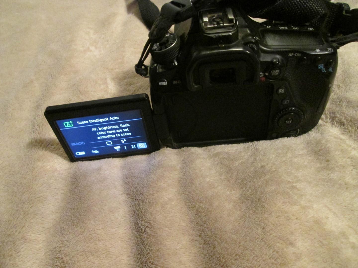 Canon EOS 80D With Lens, Protective Case And Accessories