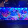MSI GeForce GTX 1080 8GB GDDR5X With Custom Backplate!!!