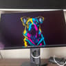 LG UltraGear OLED  32" 4K (3840 x 2160) 165Hz Gaming Monitor (32GX850A-B)