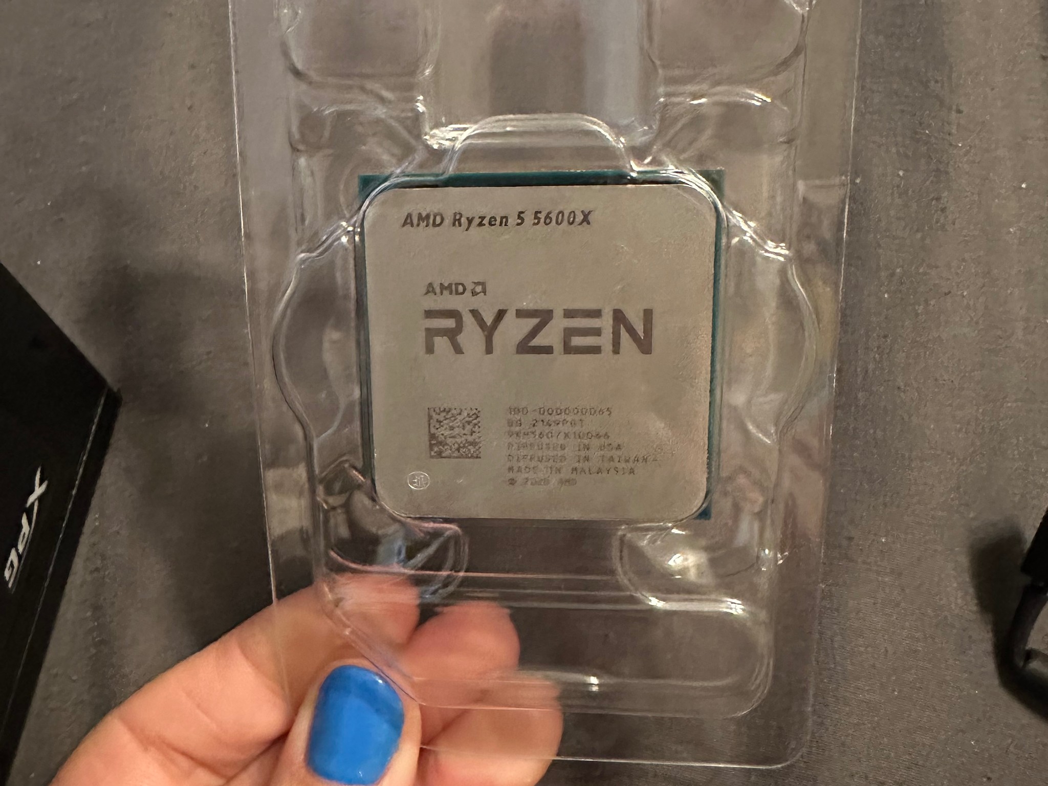 AMD Ryzen 5 5600x