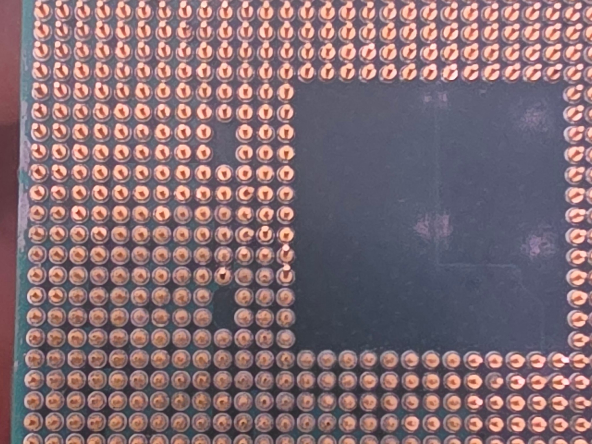 AMD Ryzen 5 5600G + cooler