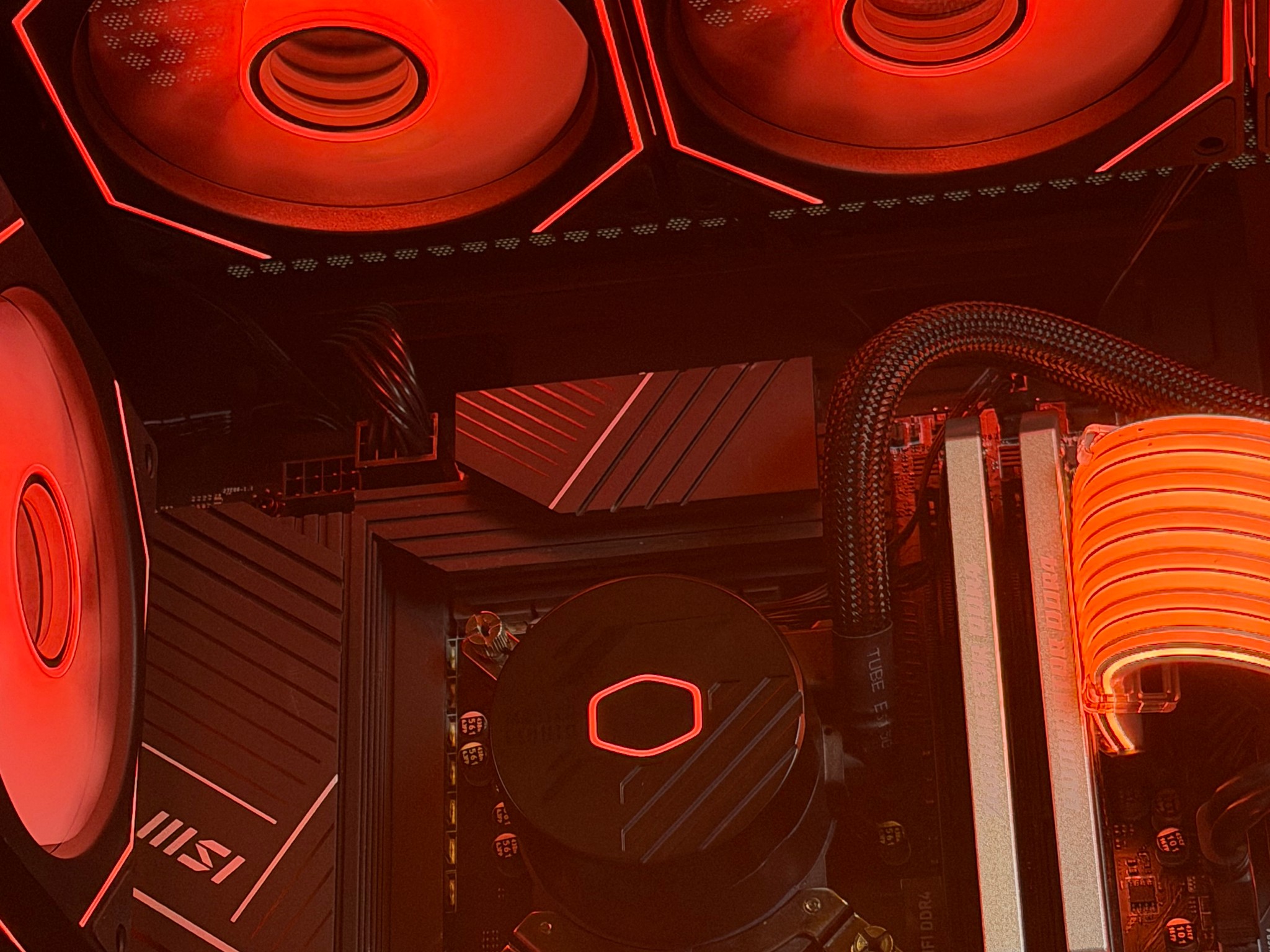 🤍🧡The Cub | i5 12600k 32gb ddr4 RTX 5060🧡🤍