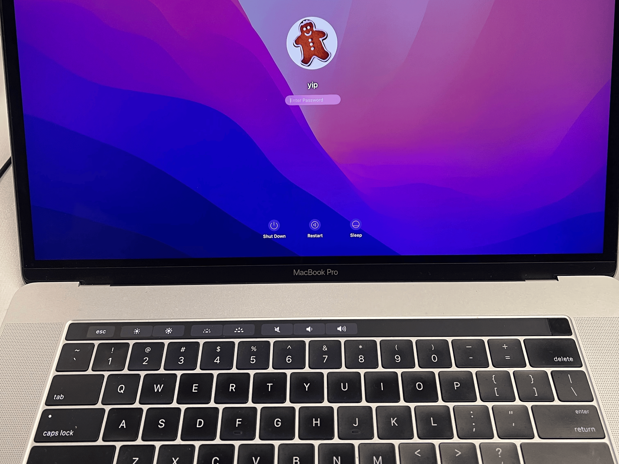 Apple MacBookPro with Touch Bar 2016