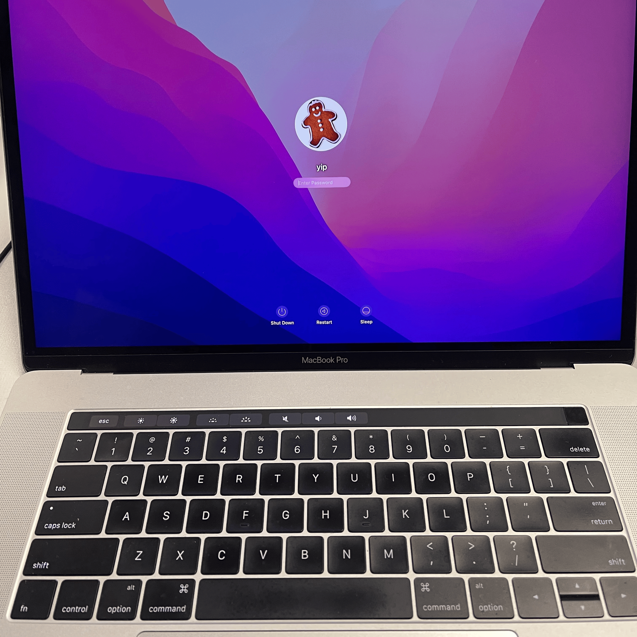 Apple MacBookPro with Touch Bar 2016