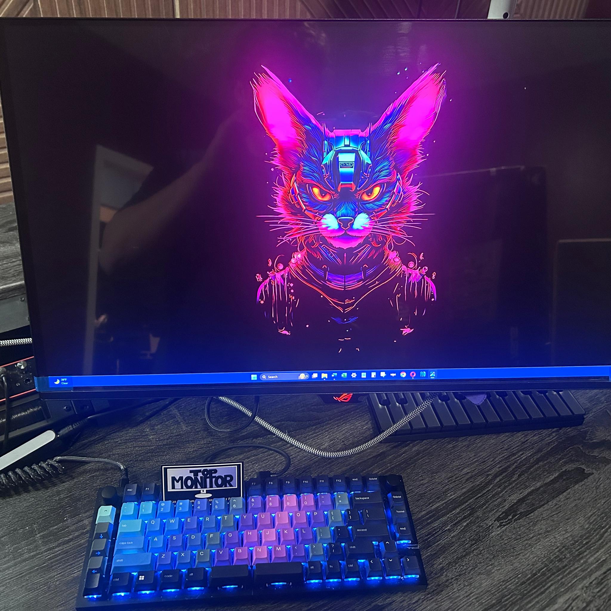 ASUS ROG QD-OLED 27" 4K (3840x2160) 240Hz Gaming Monitor PG27UCDM (Screen Protector Still Attached!)