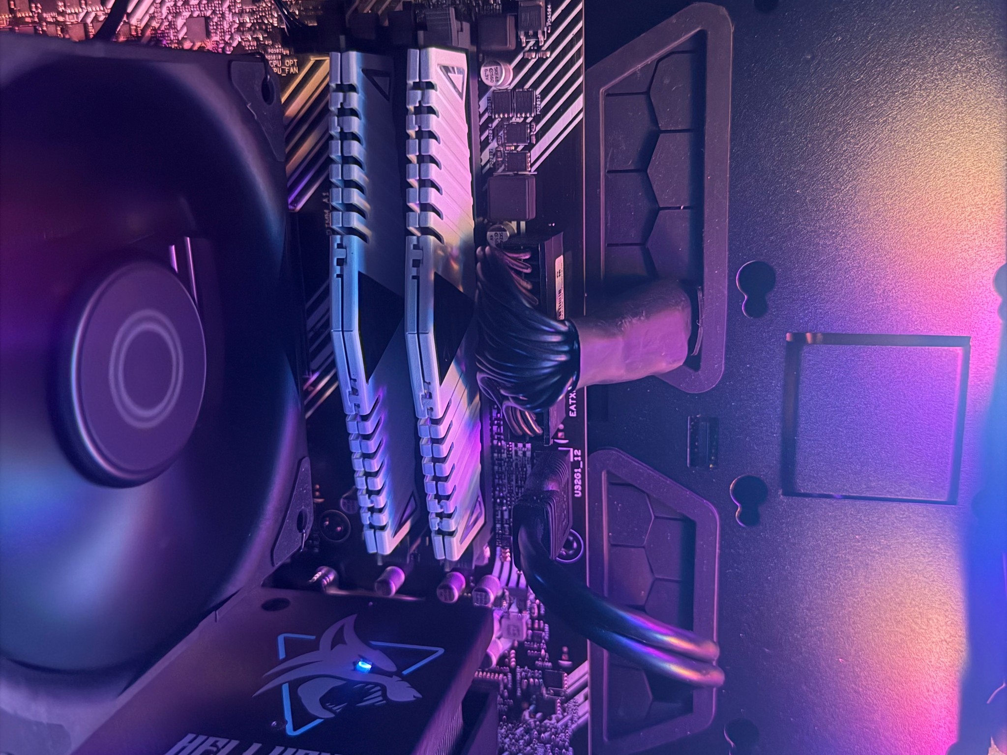 COYOTE🐺 | RYZEN 5500 | AMD 6600XT | 16GB DDR4 | 512GB SSD | BT/WIFI