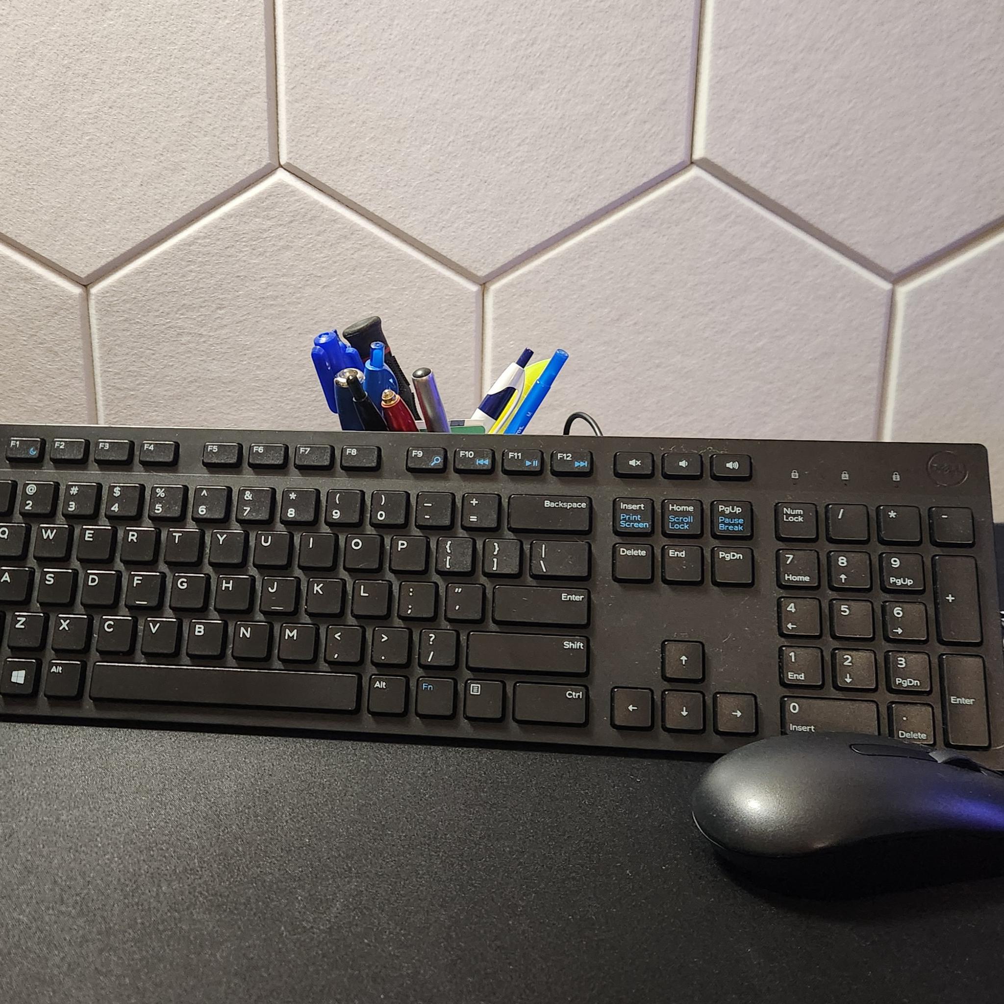 OEM Dell Keyboard and Mouse