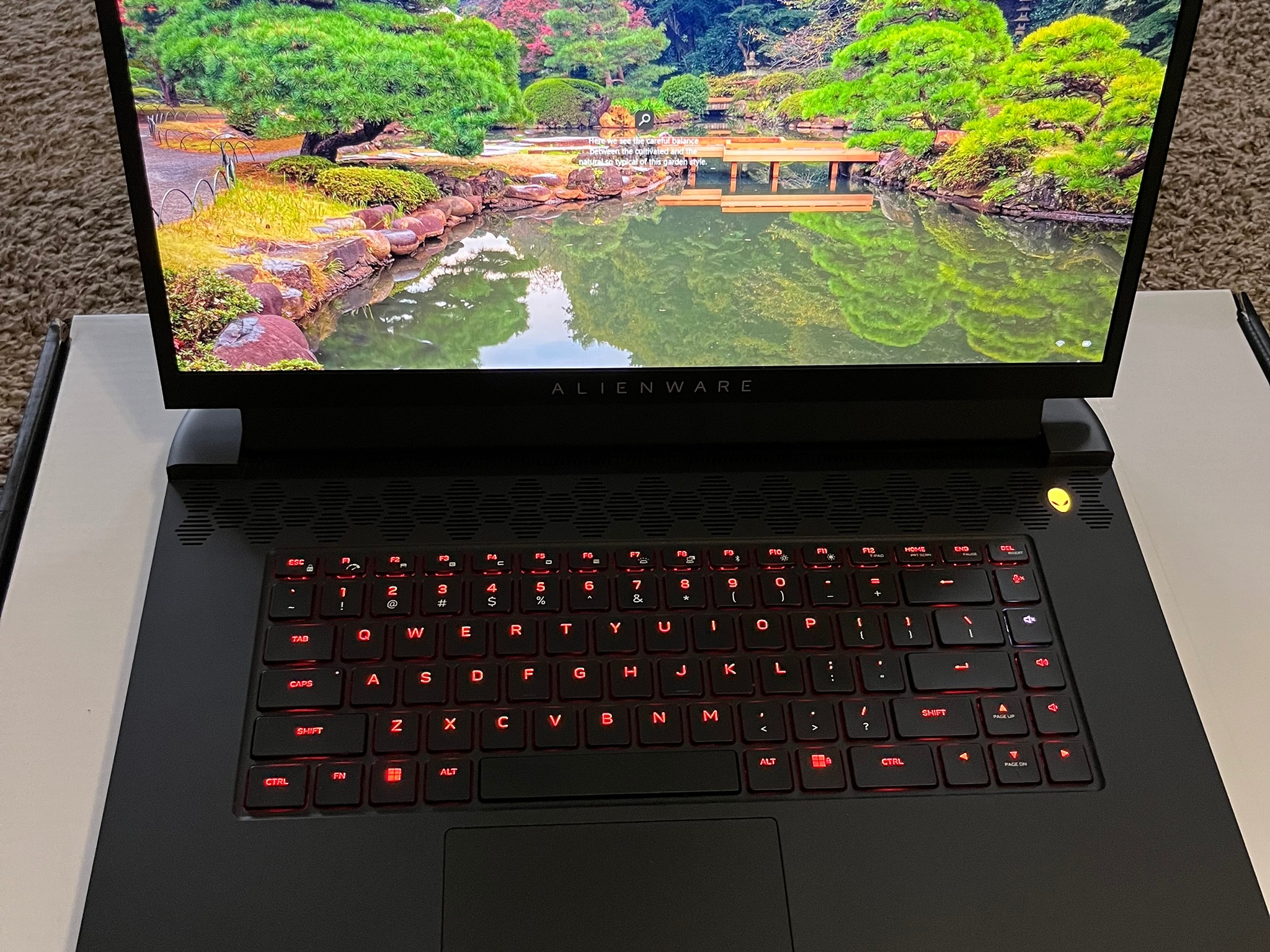 Alienware M17 R5 Ryzen 7 6800H rx6700m 1080p 165hz