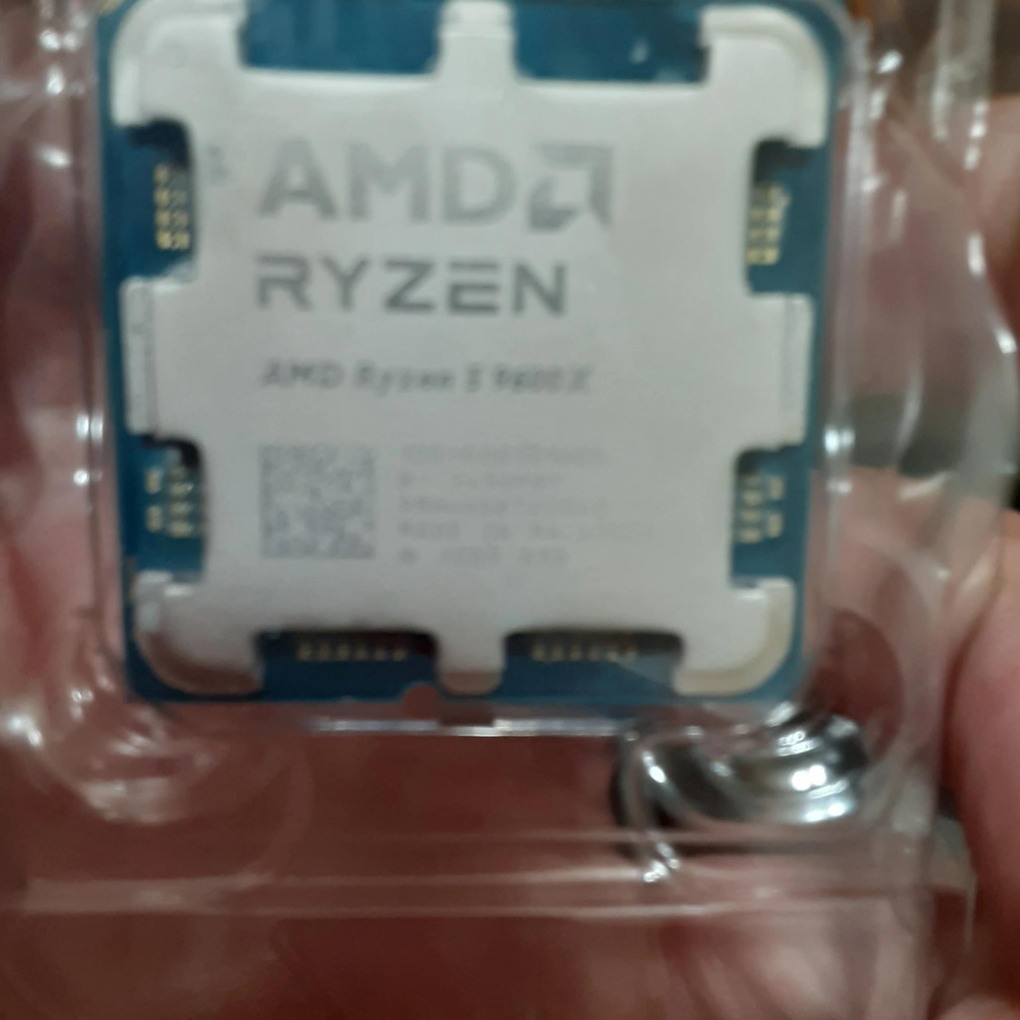 amd r5 9600x