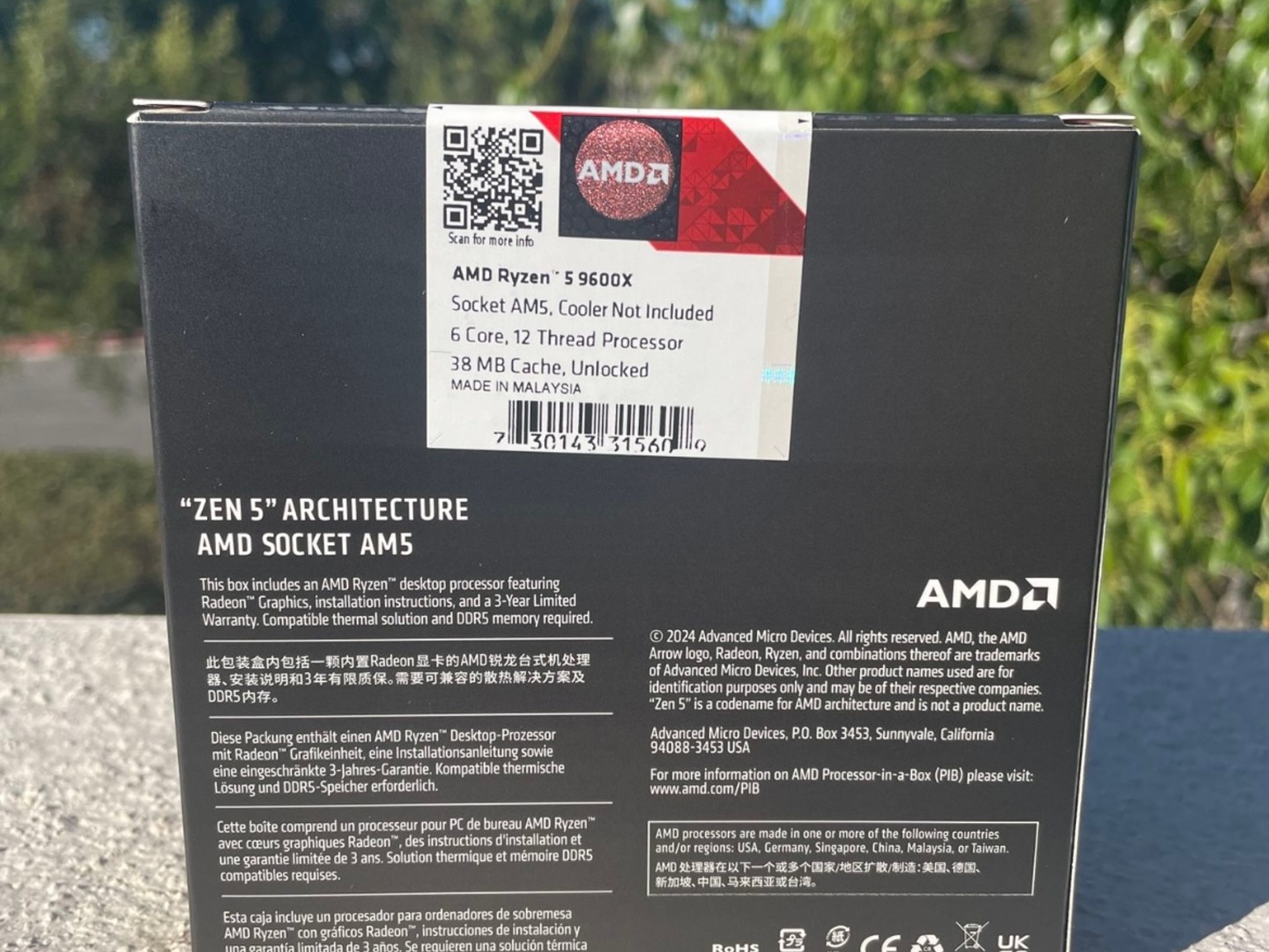 AMD Ryzen 5 9600X