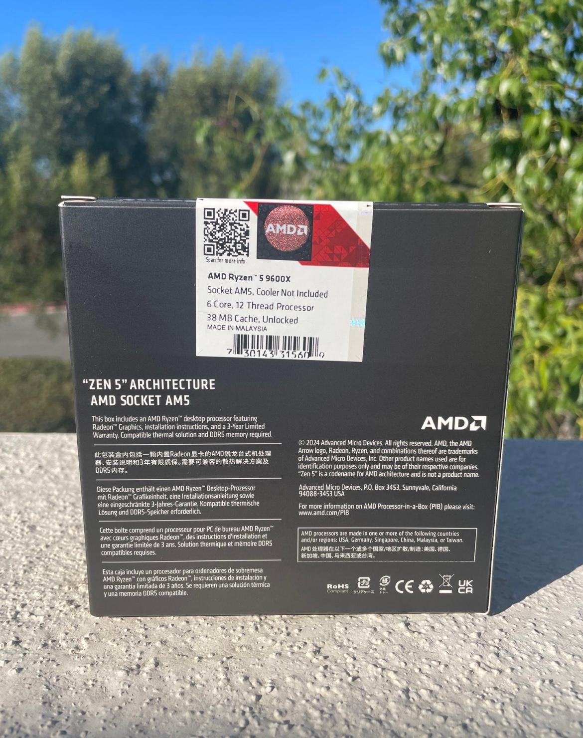 AMD Ryzen 5 9600X