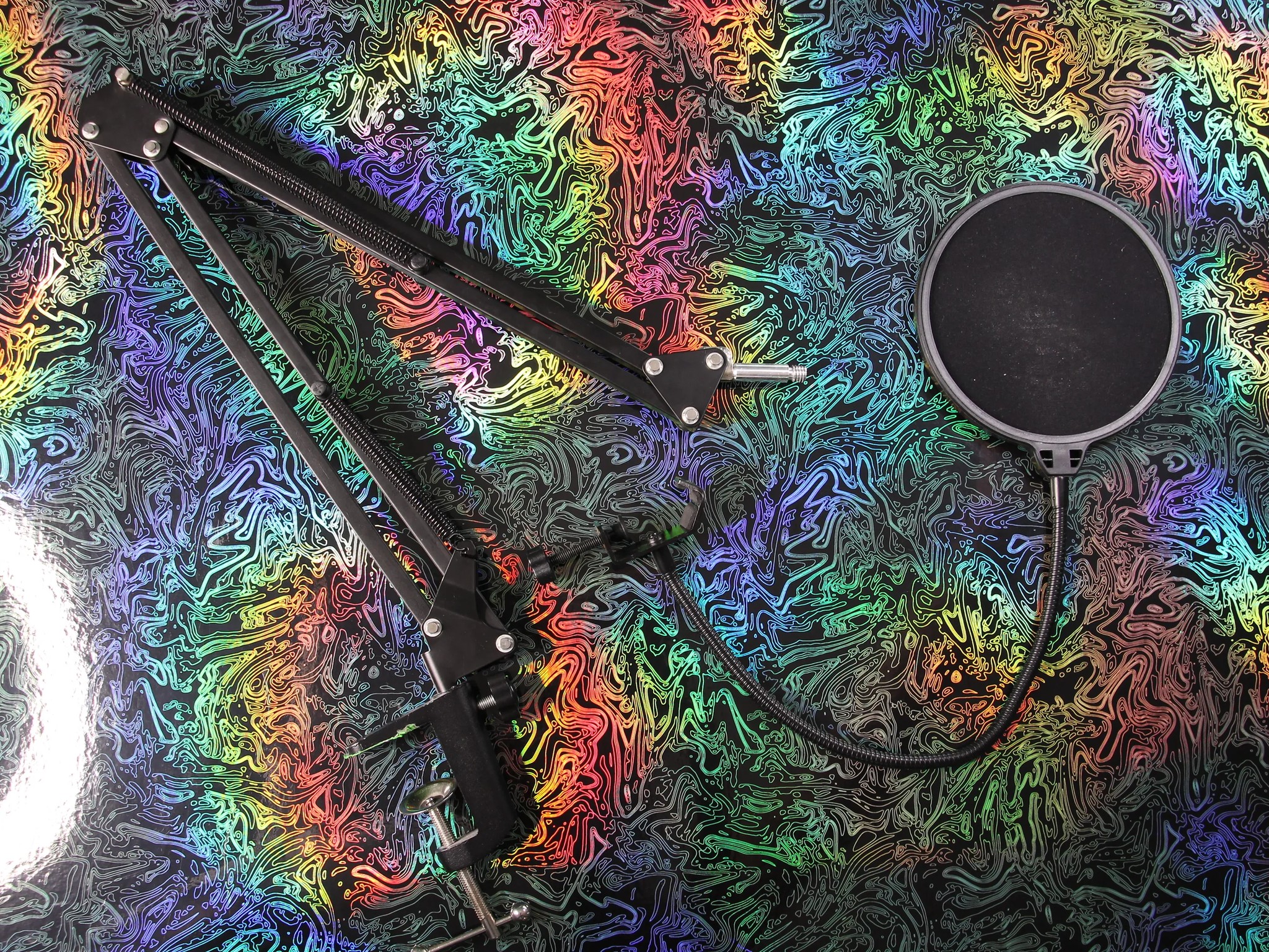 NEEWER Microphone Boom Arm & Pop Filter