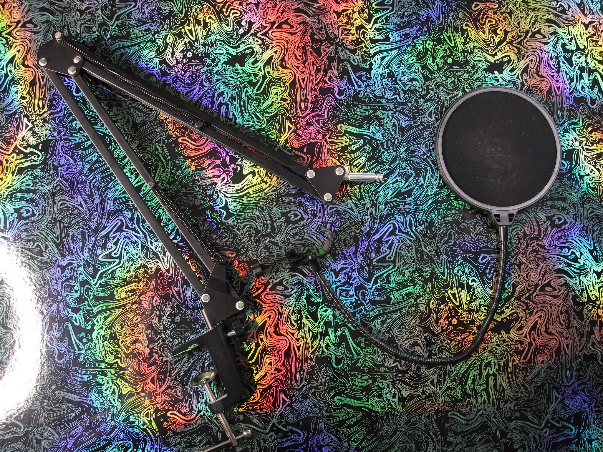 NEEWER Microphone Boom Arm & Pop Filter