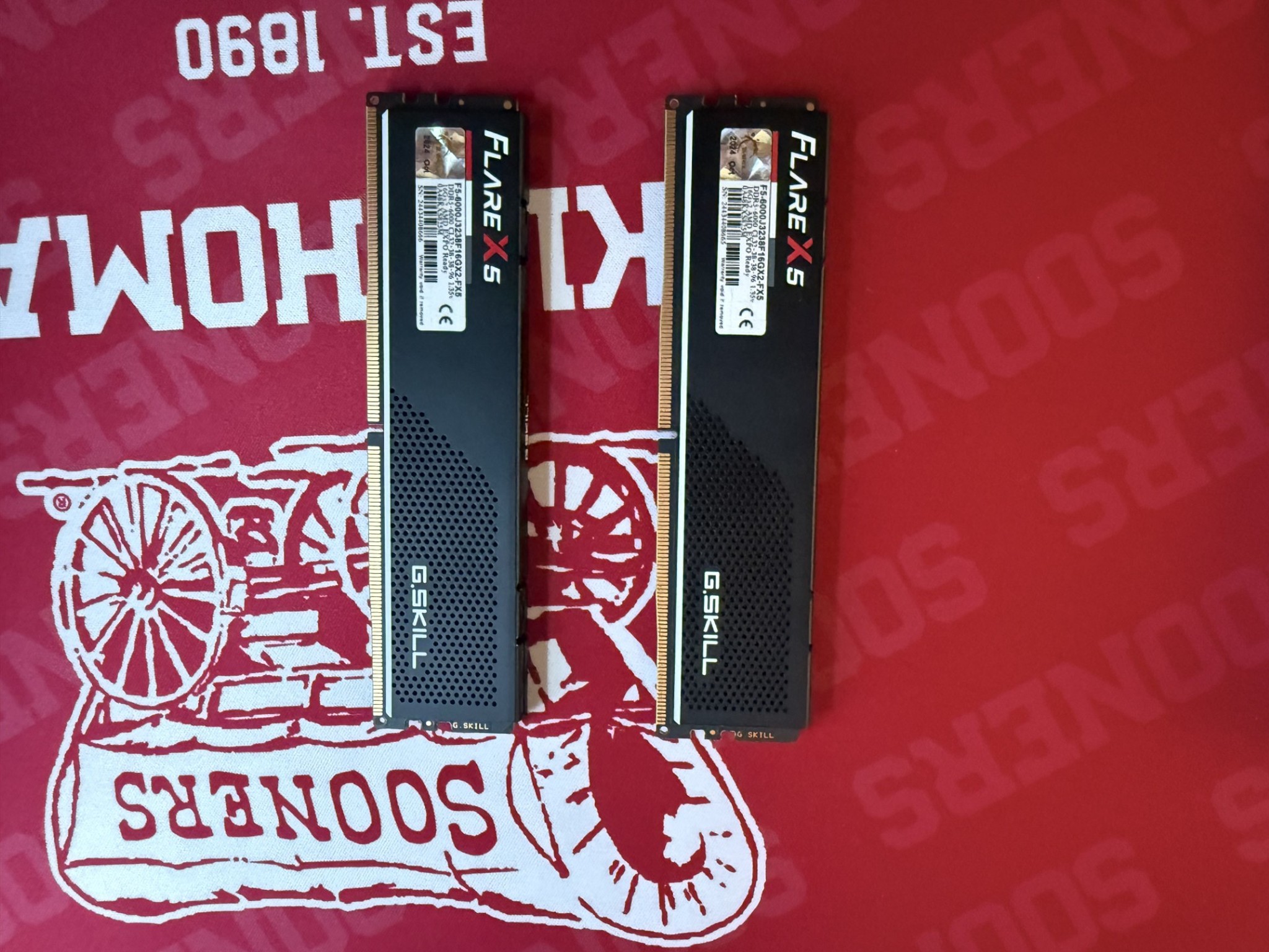 32 GB (2X 16 GB) G.Skill Flare X 5 CL 32 RAM