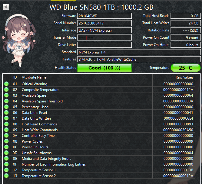 Western Digital WD Blue SN580 1TB PCIe 4.0 NVMe M.2 SSD – 100% Health – Tested