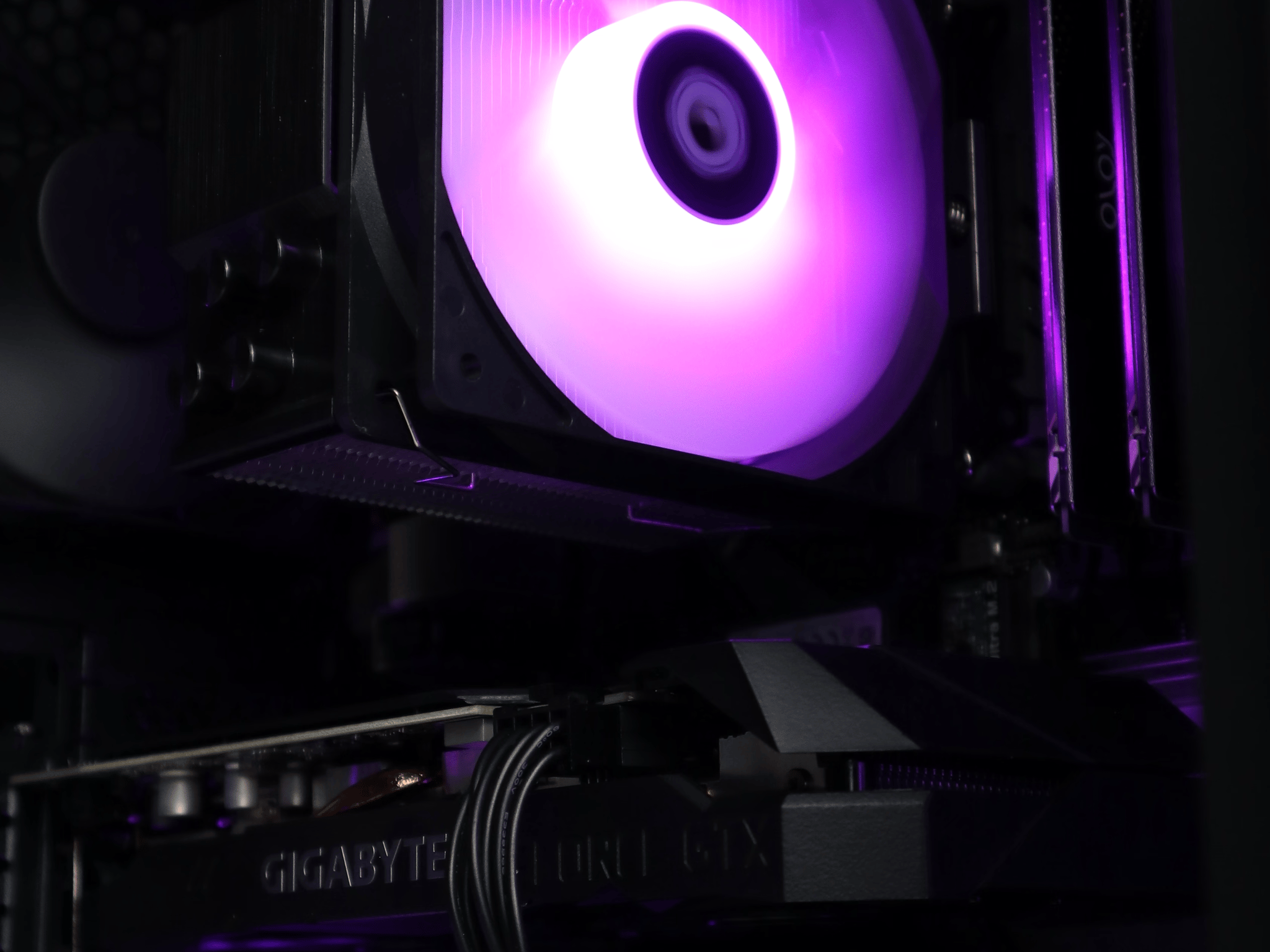 Grape | Ryzen 5 3600/GTX 1660S FREE SHIPPING w/ Wi-Fi