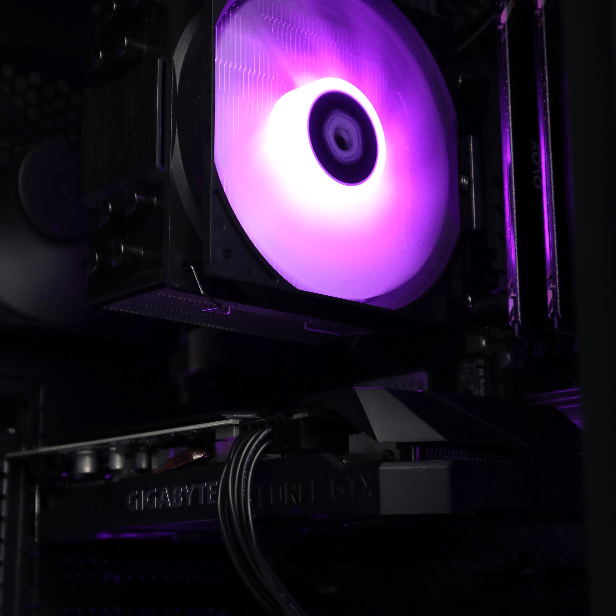 Grape | Ryzen 5 3600/GTX 1660S FREE SHIPPING w/ Wi-Fi