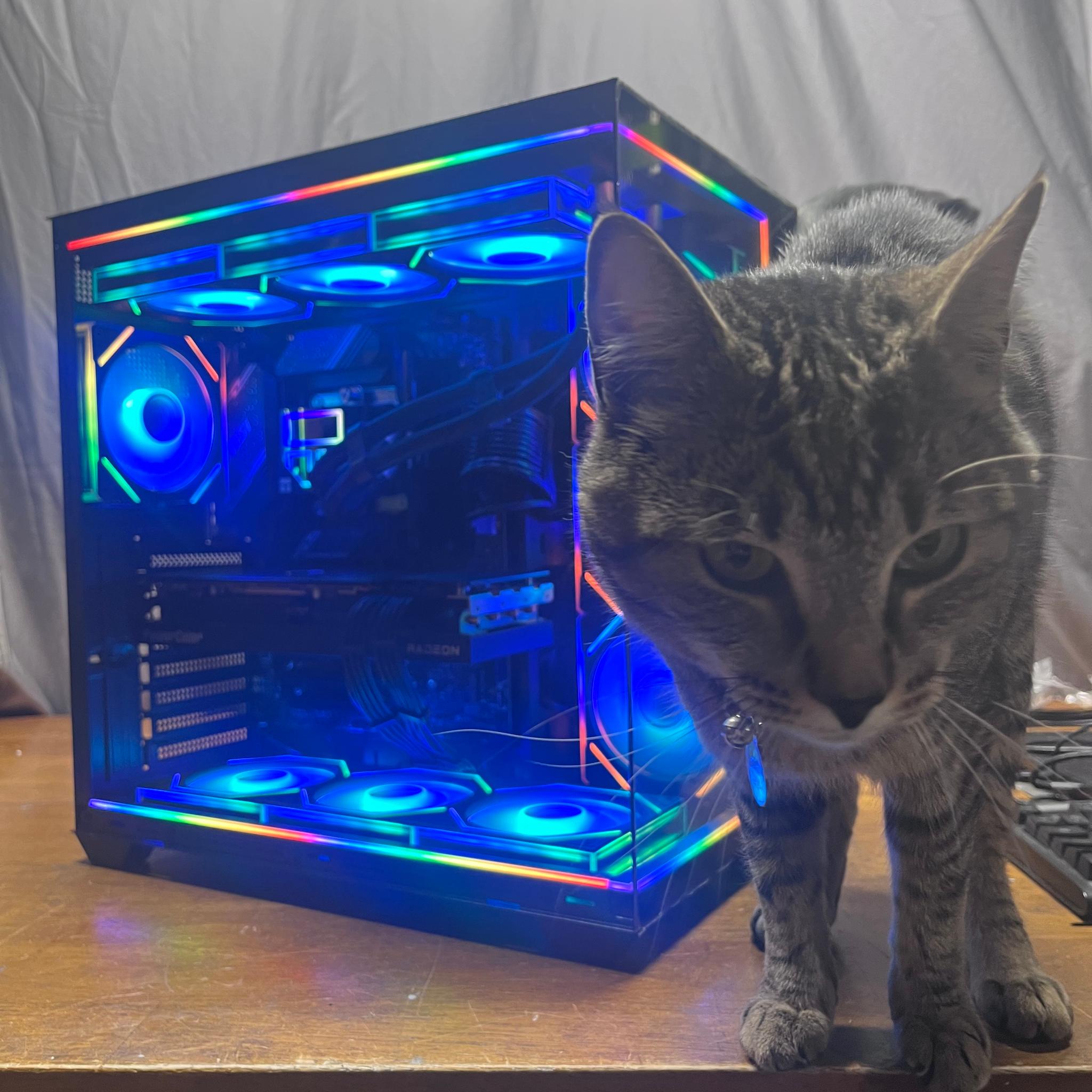 RX 7700 XT | i5 14400F | 16GB RAM | 1TB SSD | Gaming PC