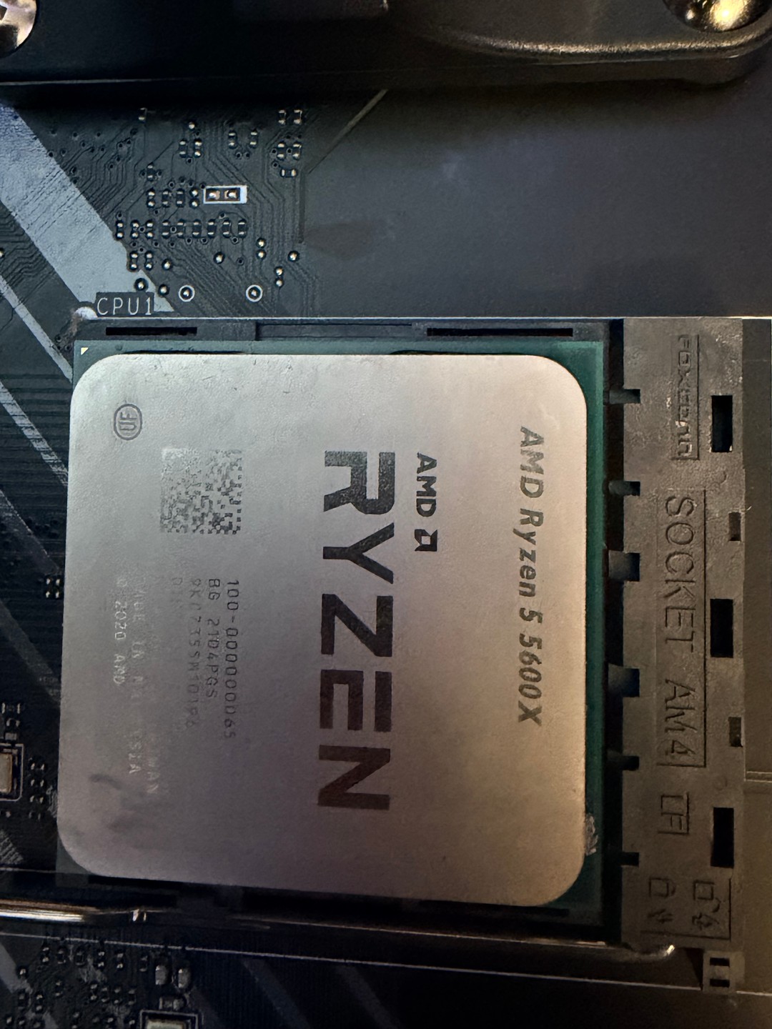 AMD Ryzen 5 5600X | Jawa