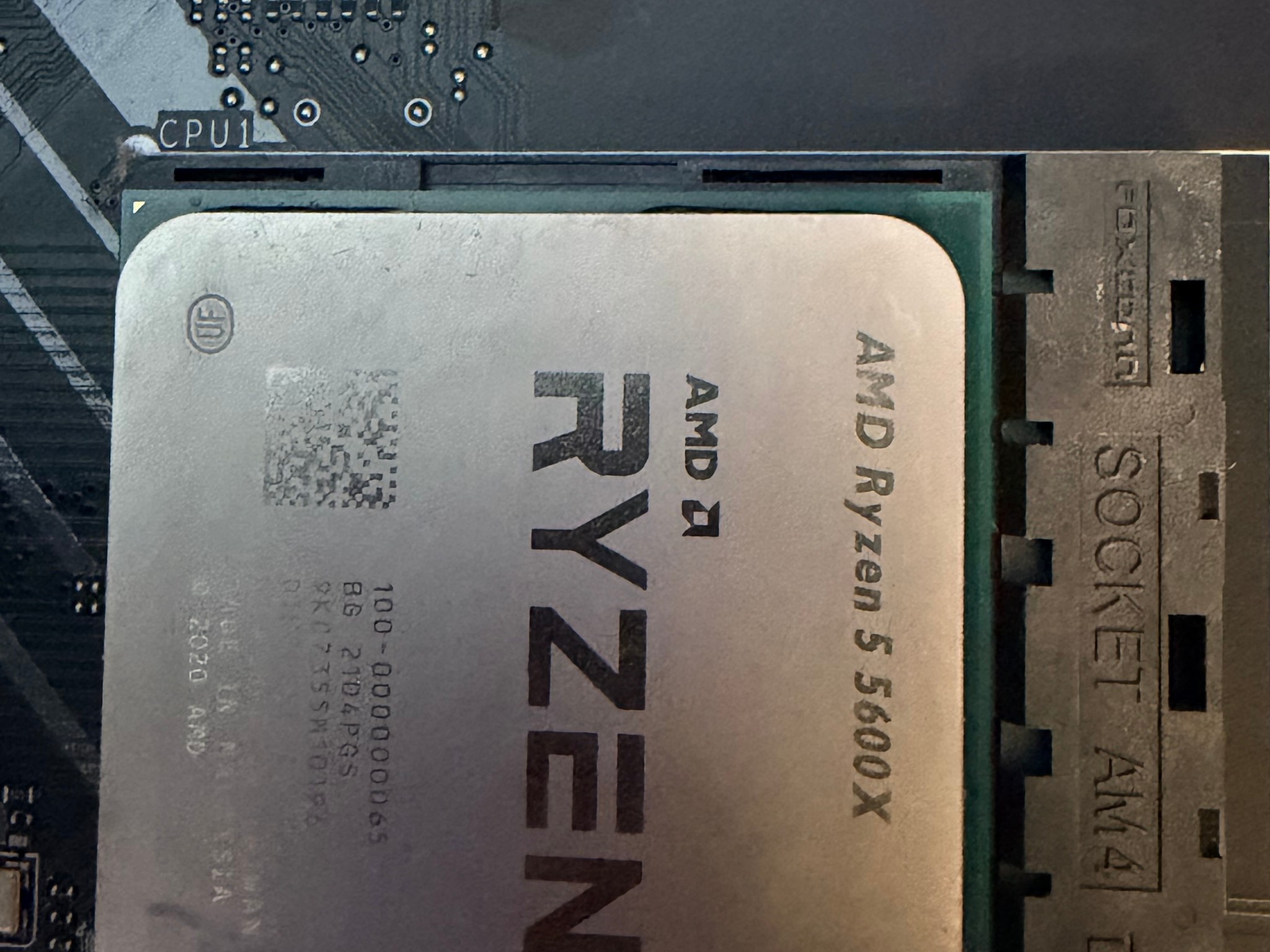 AMD Ryzen 5 5600X