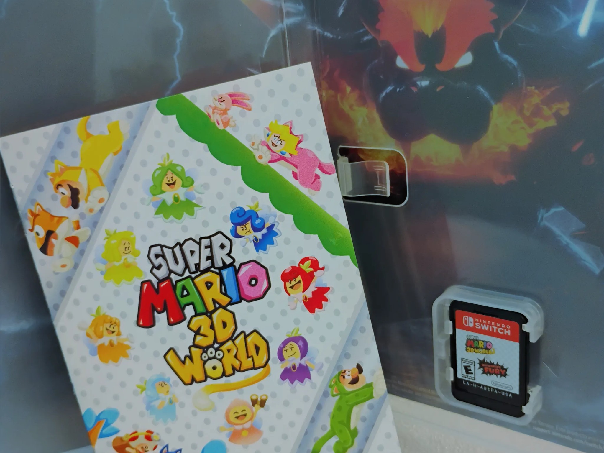 Rare Nintendo Fanart * Cover + Instruction Booklet Bowser's Fury Mario 3D World with Switch Games