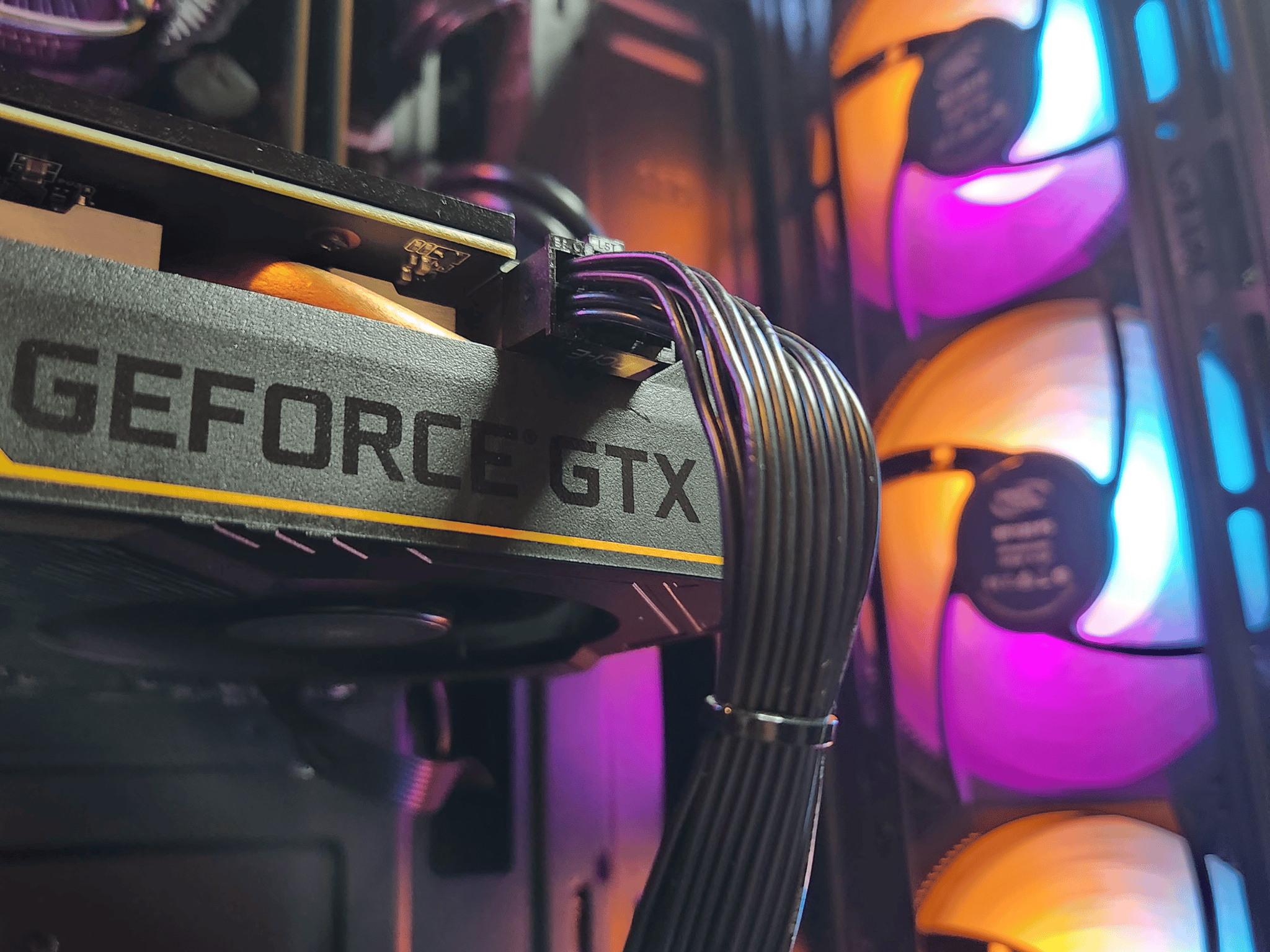 eSports Gamer