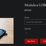 Modultra LOBO pump block w/ emitter heatsink and EKWB DDC 4.2 PWM Motor - *FOR AM4-5*