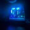 5060 Ti 8GB/I5 14440F/16GB ddr5 ram Gaming Pc