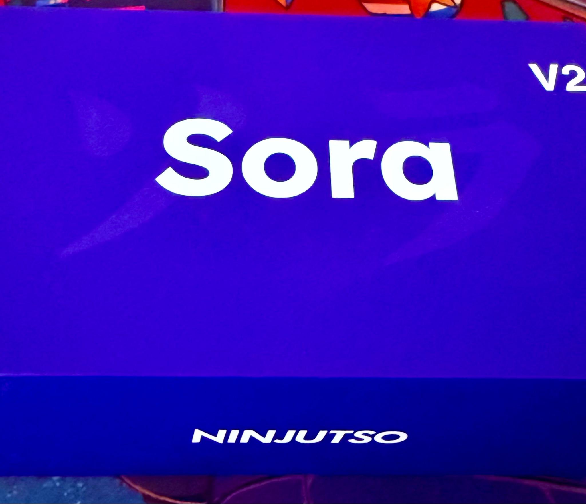 Ninjutso Sora v2 Superlight Wireless Gaming Mouse | Custom